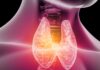 Early Signs of Thyroid Disease You Shouldn’t Ignore