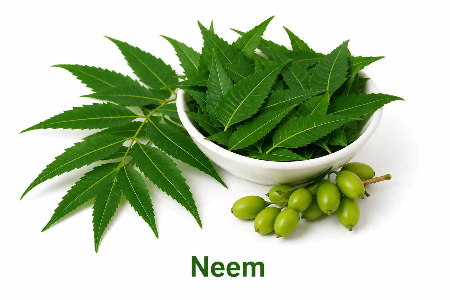 Neem leaves soaking in water, an antifungal home remedy for ringworm and jock itch